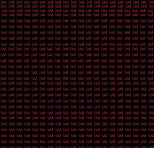 люблю своего котика