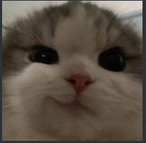 ксеве