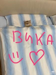 Радмир Муслимов