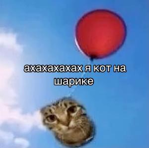 кiт на шарике