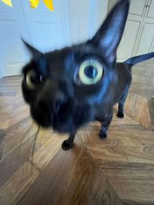 Баррикадная любовь