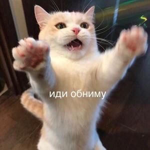 Заяц